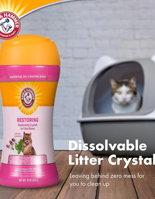 Load image into Gallery viewer, (2 Pack)  Deodorizing Cat Litter Crystals for Litter Boxes, Clary Sage &amp; Mint Scent 15 Oz.
