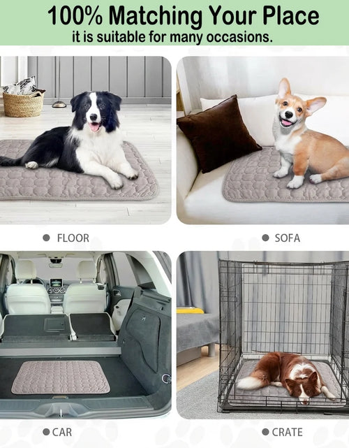 Load image into Gallery viewer, Large Dog Crate Bed Dog Crate Pad Washable Dog Bed Mat for Crate Mats for Dog Cage Mat Dog Kennel Pad Dog Kennel Mat Dog Crate Liner Dog Beds for Large Dog,48" X 36"
